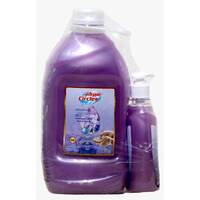 Circles Hand Wash Magical Violet 2.7 Liter + Gift / 4 sets, image 