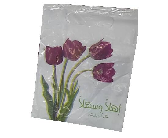 Plastic gift bags size 19 / 1000 Pieces, image 